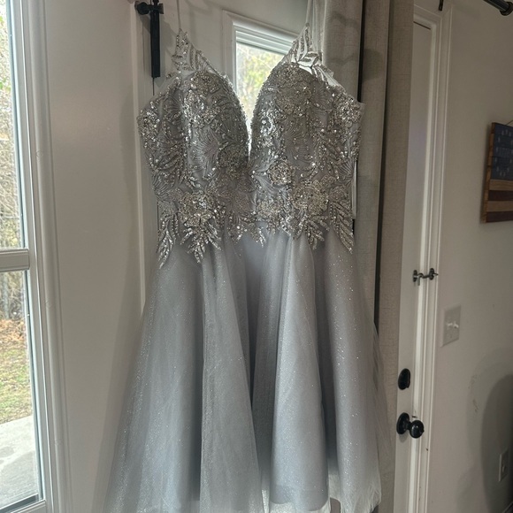 Silver Elegence Dress